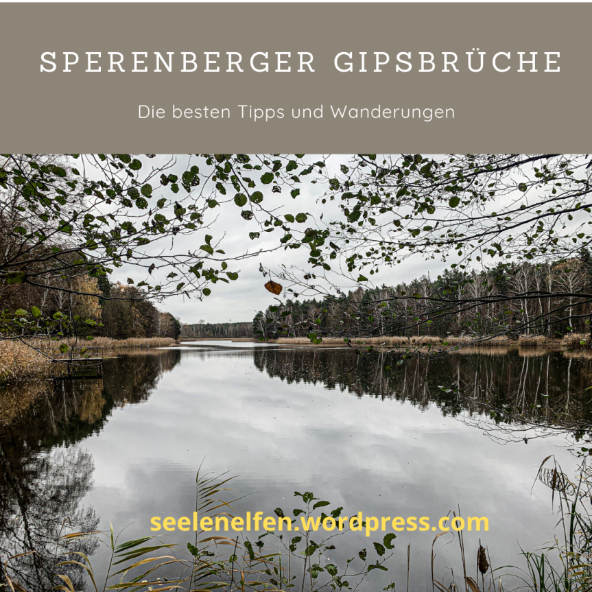 Sperenberg Gipsbrüche ➸ Boden Geo Pfad ➸ Wandern in Brandenburg